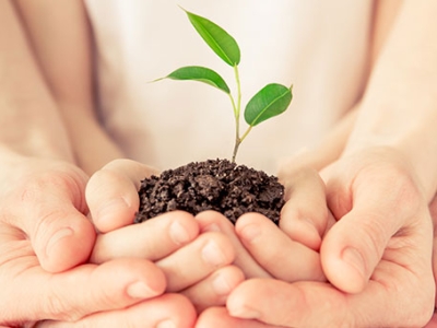 Growing Faith is for families. But what are families for? image